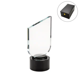 Crystal-Trophy-with-Round-Black-Base-TR-11-Blank.webp